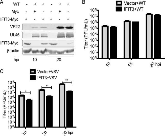 FIG 1