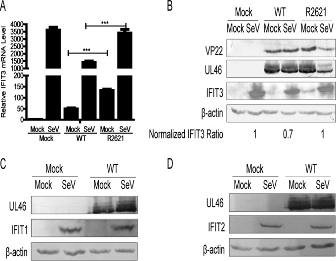 FIG 3