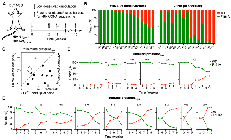 Figure 7: