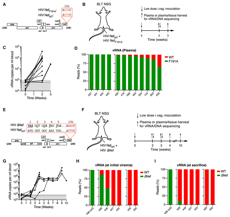 Figure 6: