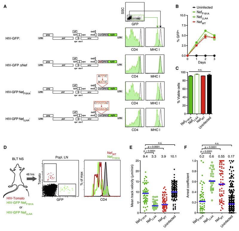 Figure 4: