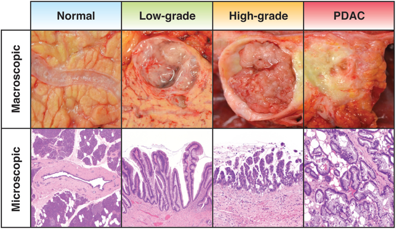 Figure 1: