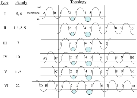 Fig. 5