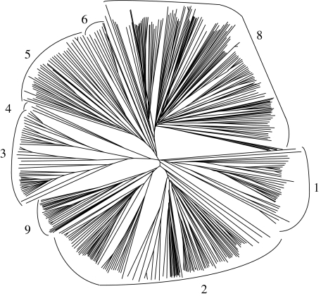 Fig. 1