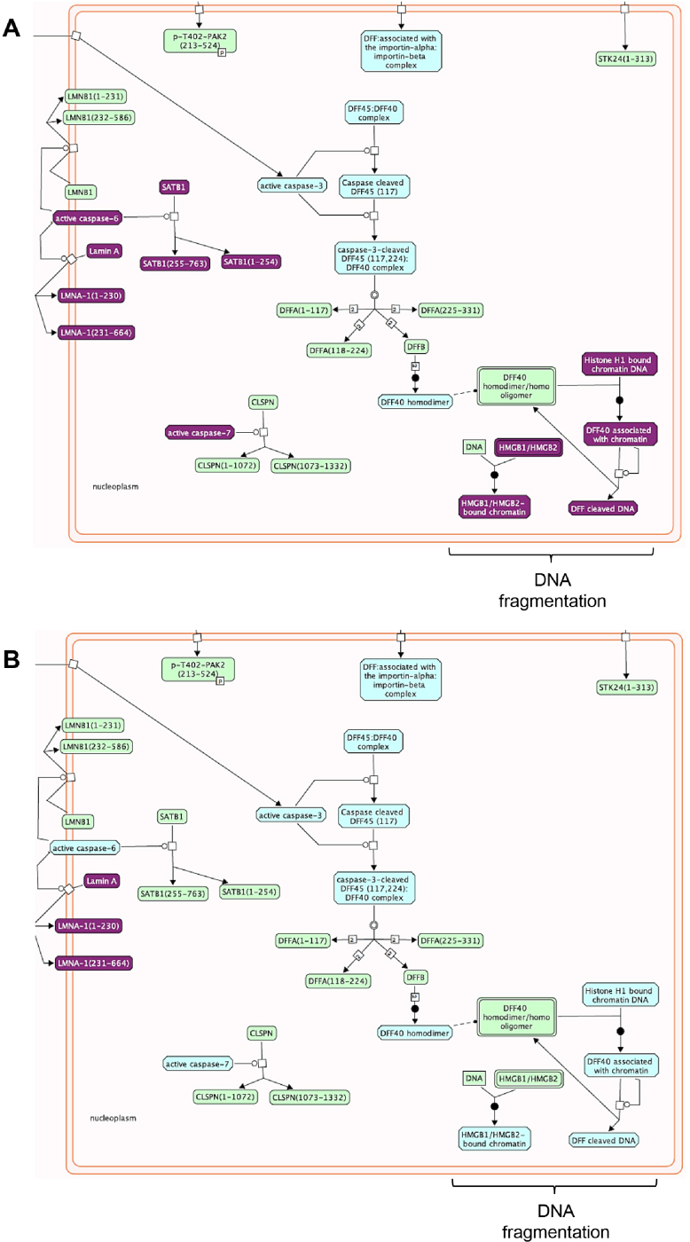 Fig. 14