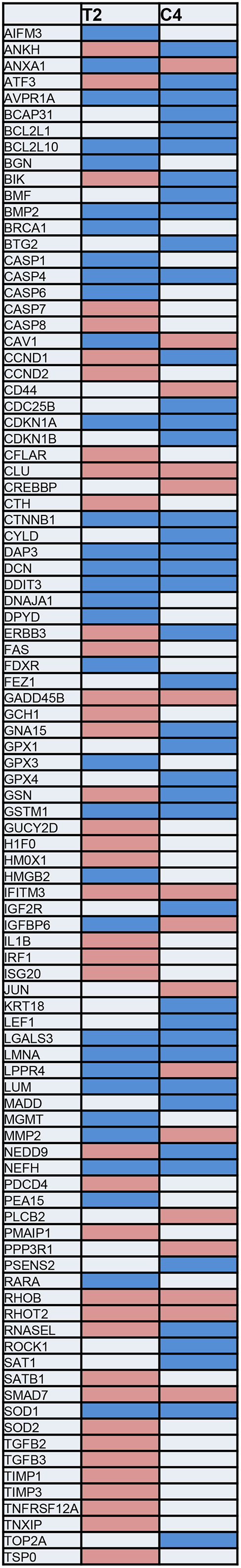 Fig. 11