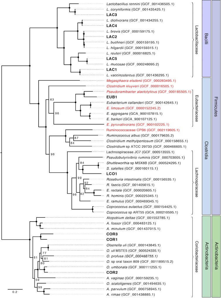 FIG 3