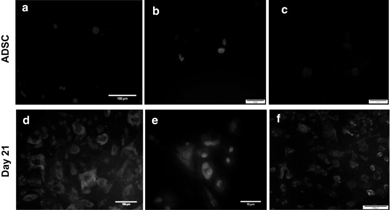 Fig. 7