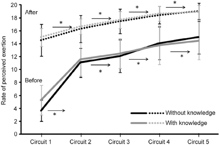 Fig. 5