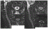 Figure 5: