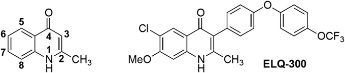 FIG 1