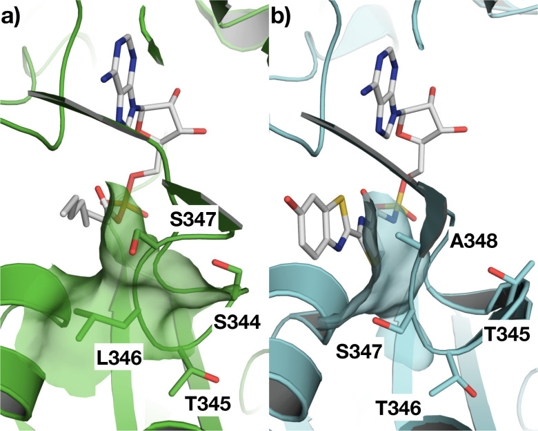 Figure 6.