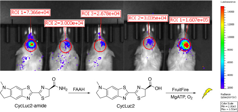 Figure 9.