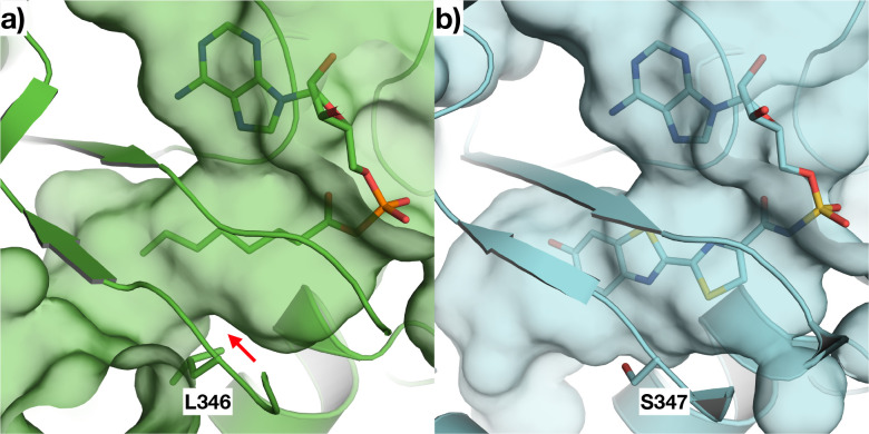 Figure 5: