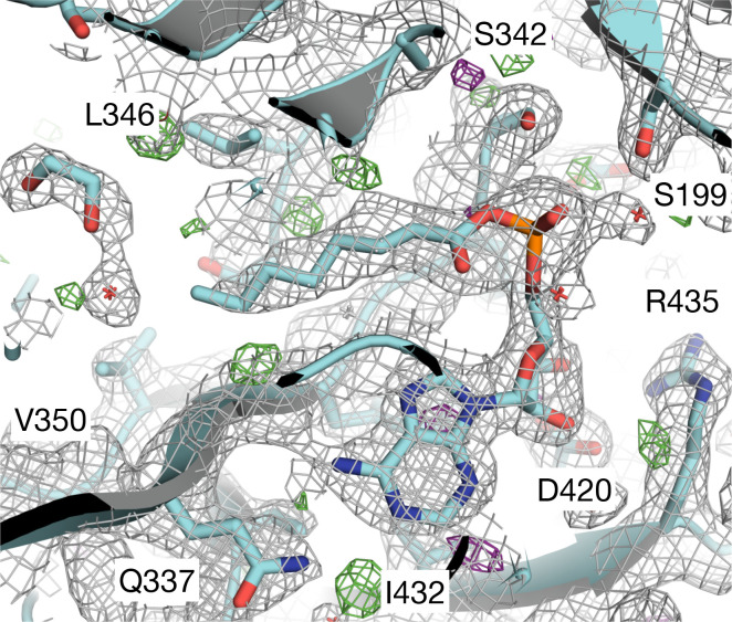 Figure 4: