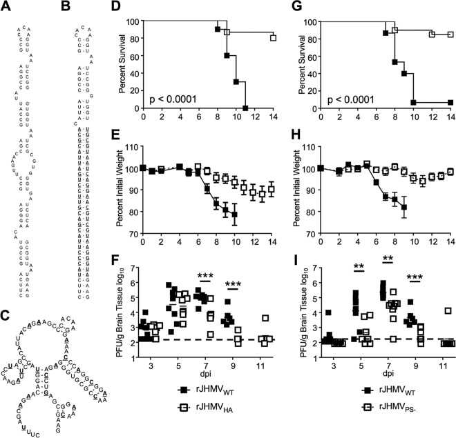 FIG 1 