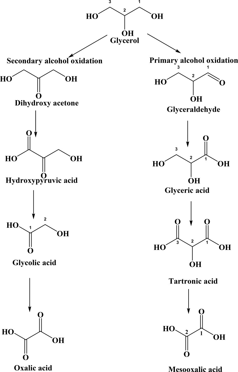 Figure 21