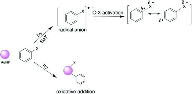 Figure 33