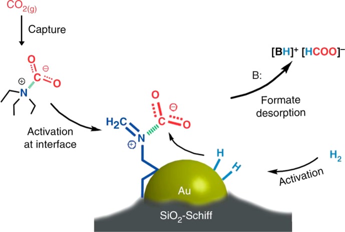 Figure 31