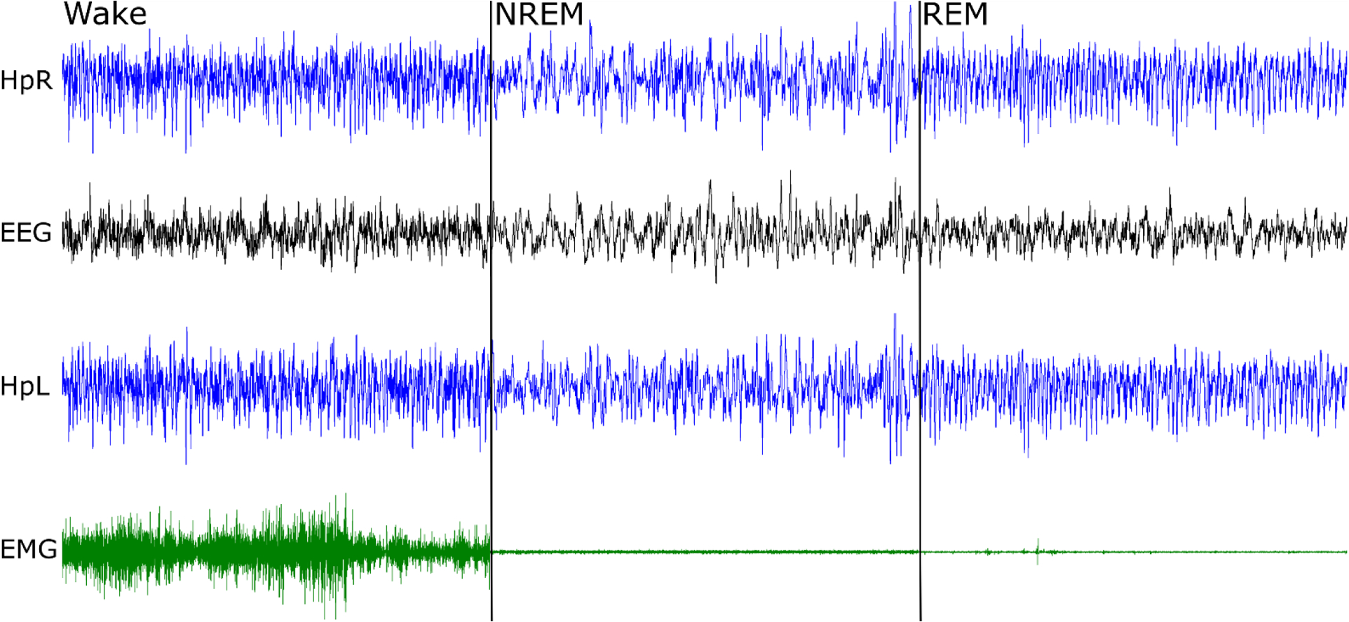 Figure 6.