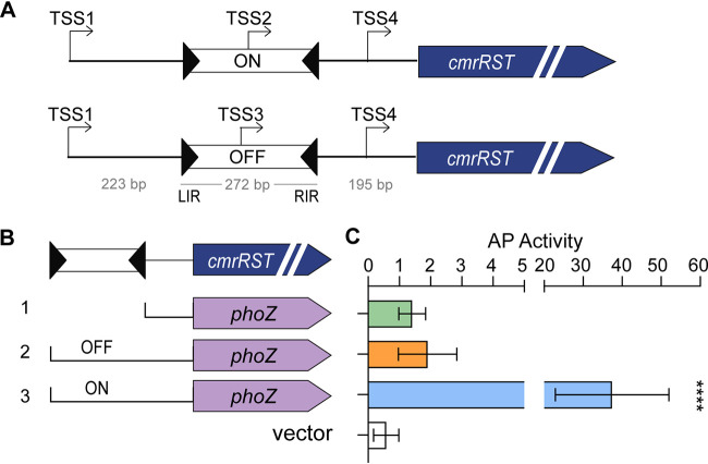 FIG 4