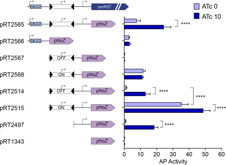 FIG 6