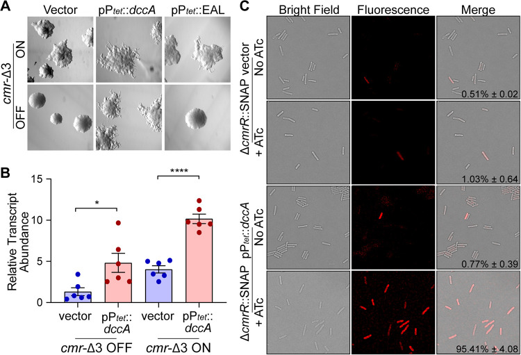 FIG 3