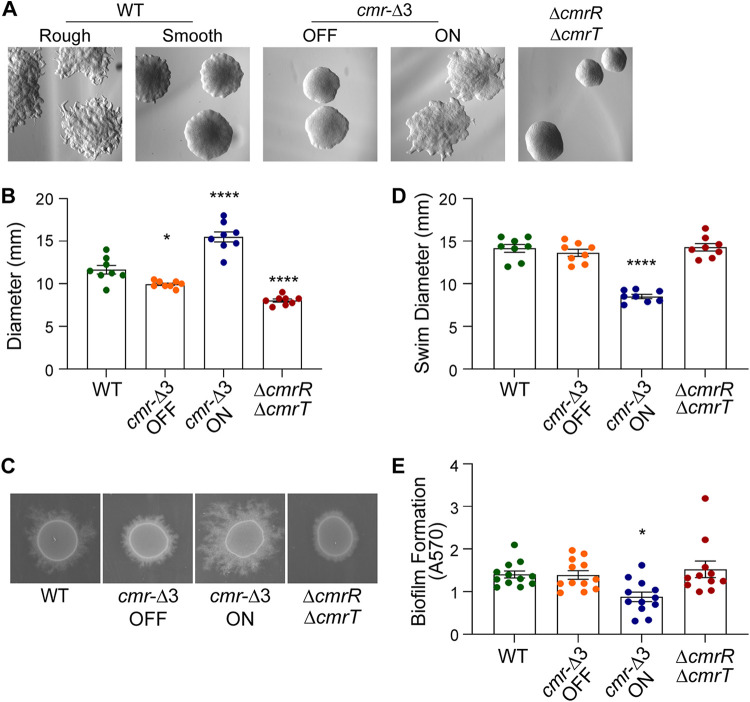 FIG 2