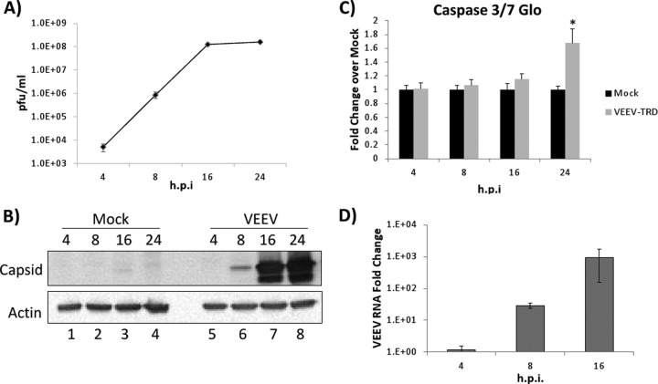 FIG 1