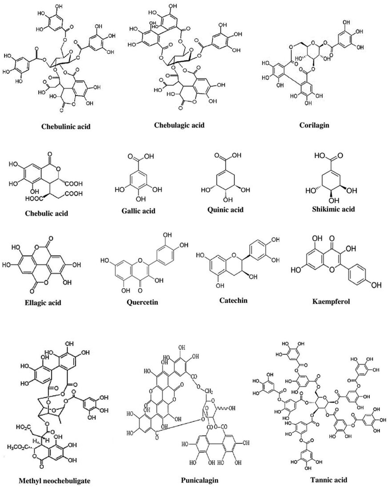 Figure 4