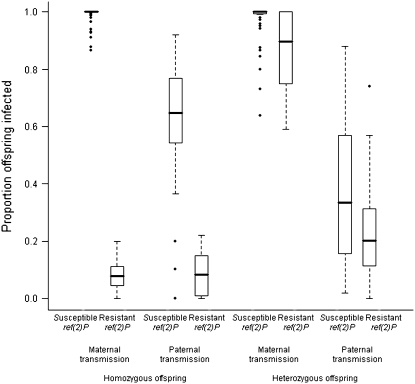 Figure 3.—