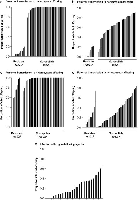 Figure 2.—