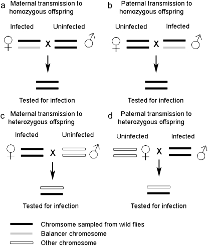 Figure 1.—