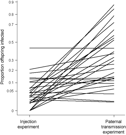 Figure 4.—