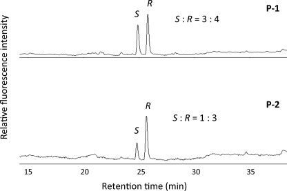 FIGURE 10.