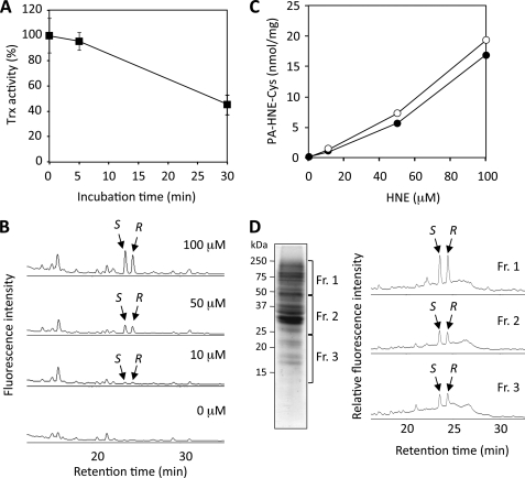 FIGURE 12.