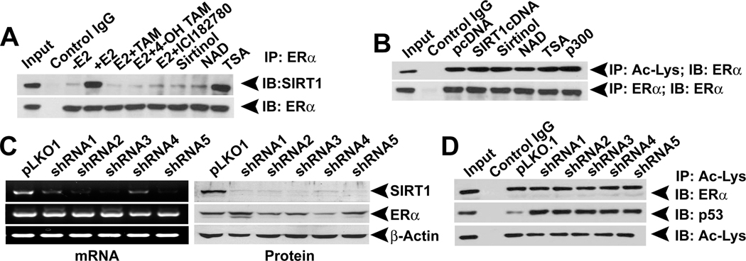 Fig.4