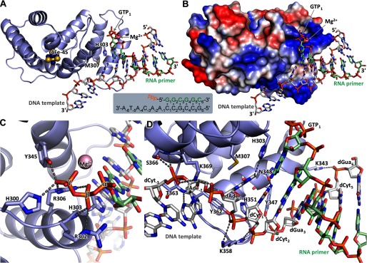 FIGURE 6.