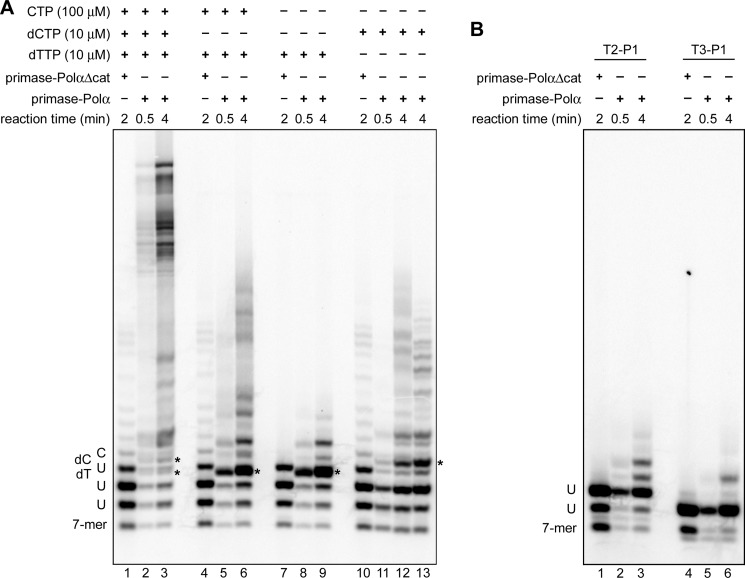 FIGURE 13.