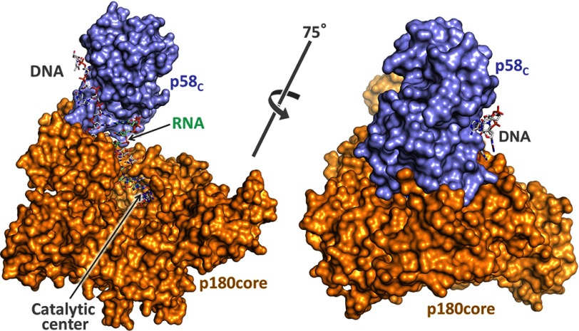 FIGURE 12.