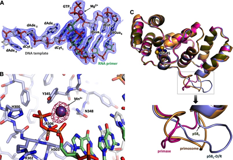 FIGURE 7.