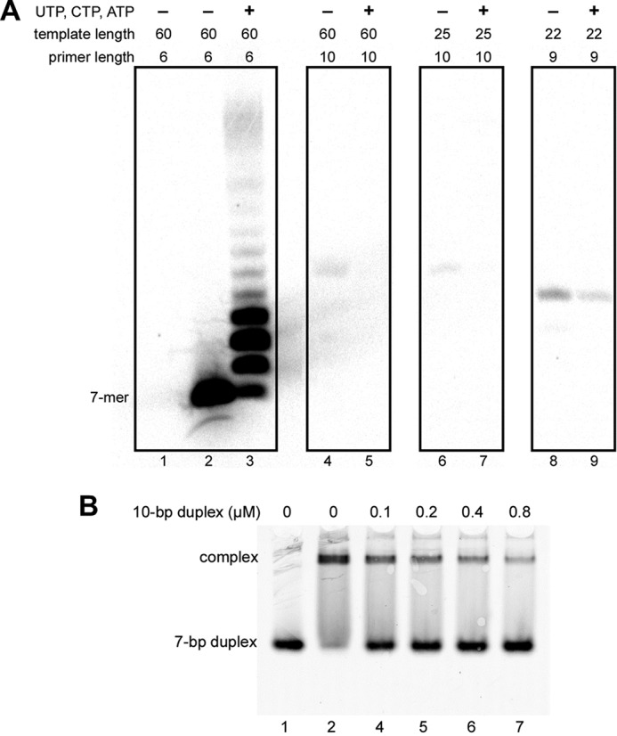 FIGURE 11.