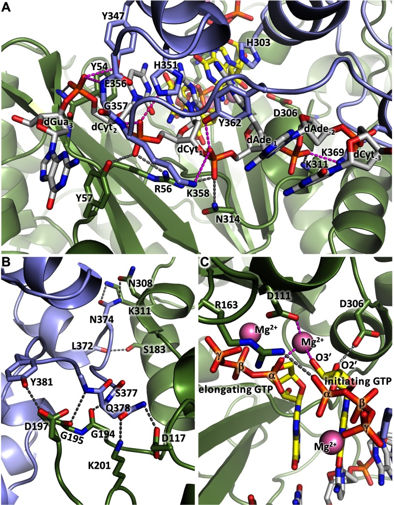 FIGURE 9.