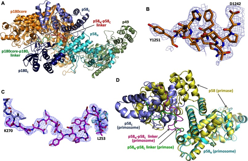 FIGURE 4.