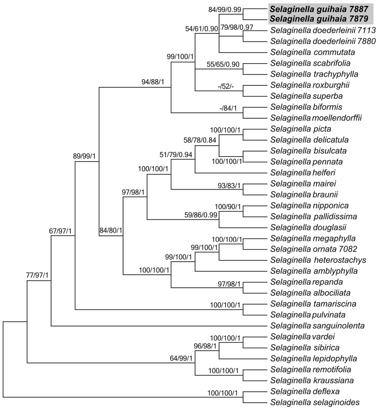 Figure 1.