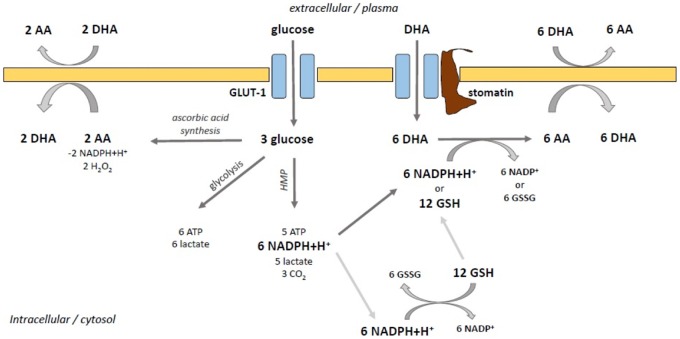 Figure 7.