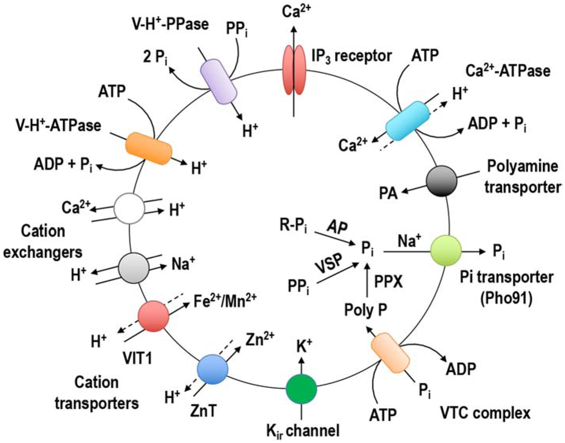 Figure 1.