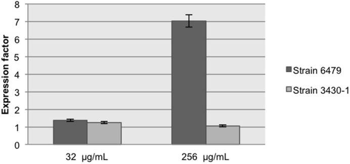 FIGURE 3