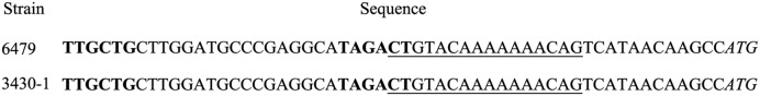 FIGURE 4