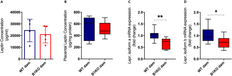 Figure 4